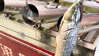 Most Delicious Fish !!