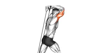 Overhead Tricep Extension