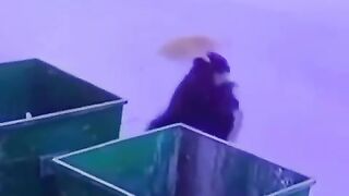 FUNNY VIDEOS PART 4 #viral #shorts #fails #funnyvideos #funny