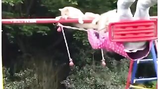 FUNNY VIDEOS PART 8 #viral #shorts #fails #funnyvideos #funny