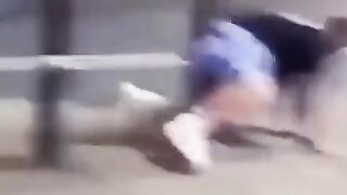 FUNNY VIDEOS PART 14 #viral #shorts #fails #funnyvideos #funny