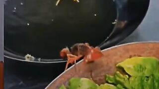 FUNNY VIDEOS PART 17 #viral #shorts #fails #funnyvideos #funny