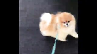 He Excite