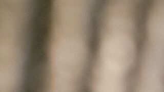 Criança de 9 anos invade hospital, link https://shorturl.at/UpjvI pula muro e mata 23 animais