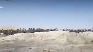 Palmyra