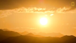 - Deserts 101 - National Geographic.