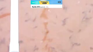 Ikan lele MENGGANTUNG, air kolam  BAU, Begini cara mengatasinya