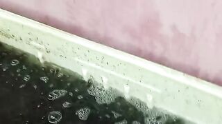Bibit lele ukuran 4-6cm Berapa harganya didaerah kalian❓