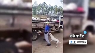 Funny video