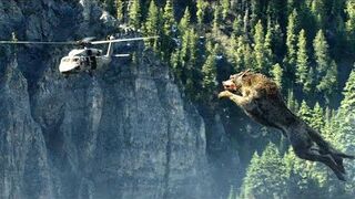 man vs wolf