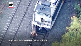Operator dies and more than a dozen passengers hurt as commuter train hits tree.