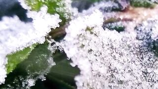 ПОЙНТ МОЛДОВА