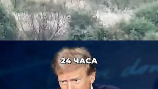 Най-важното по света за последните 24 часа (15.10.2024)