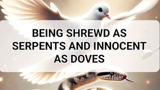 BEING SHREWD AS SERPENTS AND INNOCENT AS DOVES