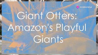 Giant Otters Amazon s Playful Giant.