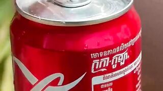 Fried duck eggs and canned coca#survival #bushcraft #bushcraft #camping #lifehacks #forest