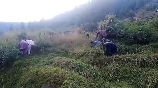 Kashmir culture