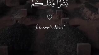 Recitation