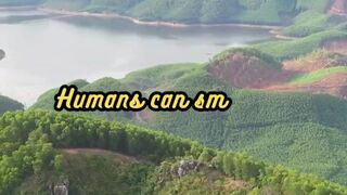 Animal Facts        Skunk  Range          #shorts
