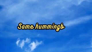 Animal Facts        Tiny Hummingbirds          #shorts