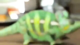 حيوان يتحول من لون إلى أخر حسب اللون القريب منه