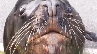 Reaction after eating fish