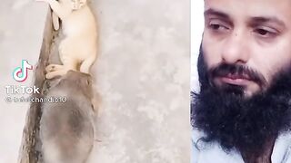 Big mouse