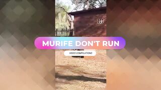 MURIFE DON'T RUN  COMPILATION MEMES