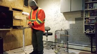 Cockatoo parrot - Angry reaction when owner destroys cage