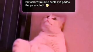 Funny ????