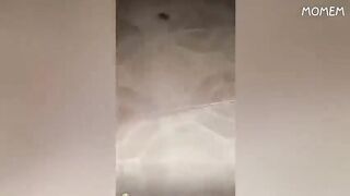 if you laugh you lose!!   HARD MODE!!
