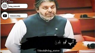 Ali muhammad Pti