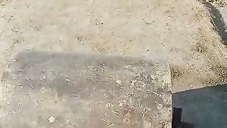 How to roll Truff pitch with roller
