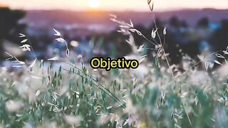 Motivaçãodiaria