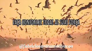 Motivaçaodiaria