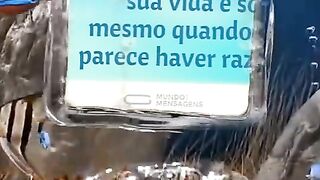 Viver um dia de cada vez
