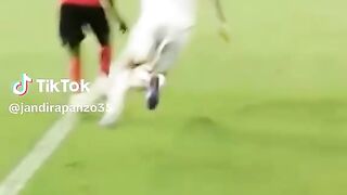 Gibelé Skills