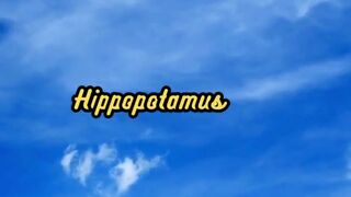 Animal Facts          Hippopotamus Milk        #shorts