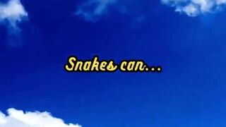 Animal Facts          Snake Vision        #shorts