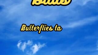 Animal Facts         Butterfly Taste Buds         #shorts