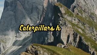 Animal Facts         Caterpillar Eyes         #shorts