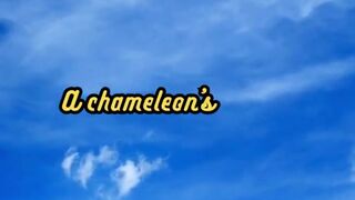 Animal Facts         Chameleon Tongue         #shorts