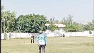 Cricket fever