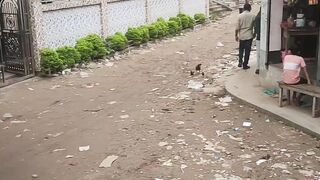 ভিডিওটা একটু মনোযোগ সহকারে দেখুন