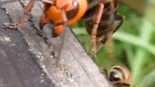 একদিন এই ভাবে ইসলাম বিজয় আনবে ইনশাআল্লাহ ???? #ইসলামিক