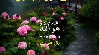 Quran al Karim