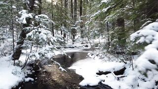 rural winter