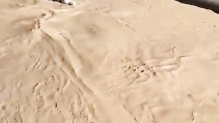 SAVING A COW THAT FALLS INTO THE STREAM WITH A SCOOP _ DEREYE DÜŞEN İNEĞİ KEPÇEYLE