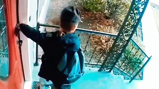 Mr prficct