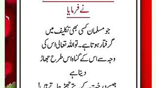 Shariat Ke Masail Seekhain